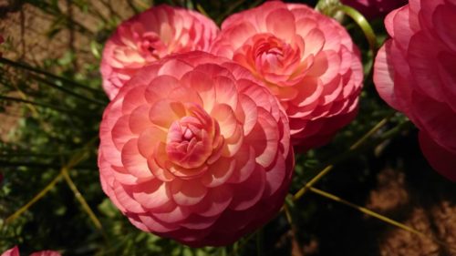 9e3038f9-8095-4329-9367-36dc3d243450