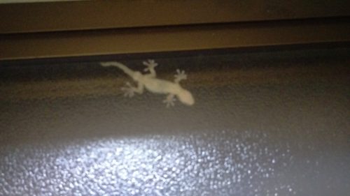 793ba571-d4ae-4890-a11f-a294187601a6