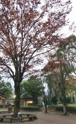 51cff2b0-1693-42e3-b8b6-5919bdf77b82