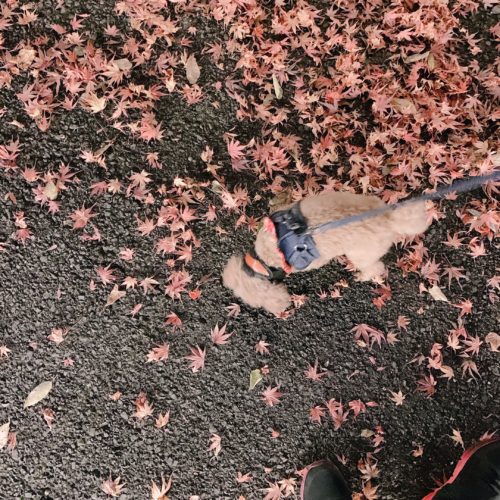 3b9e940e-87e6-4961-a954-416bad0b84bb