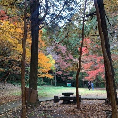 d8b3fcf6-be9f-478a-ab9a-99df87ae1b10